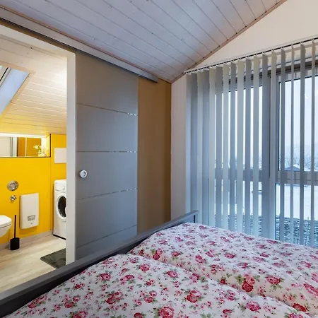 Gemuetliche Mit Panoramablick Lejlighed Muttensweiler